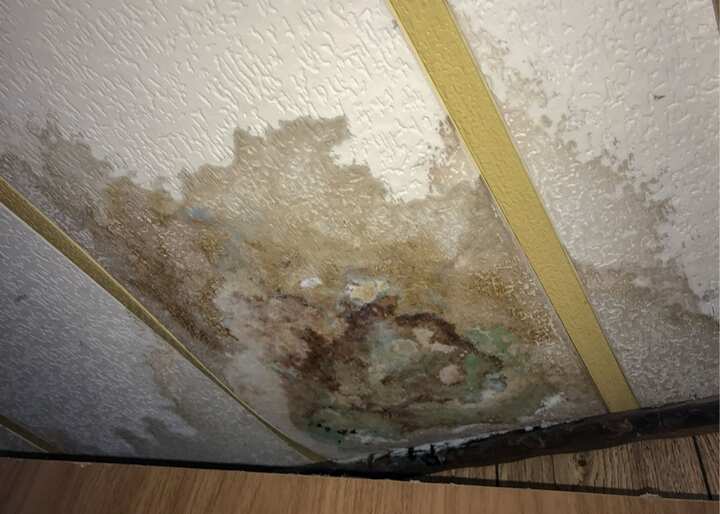 Water Damage Carson City