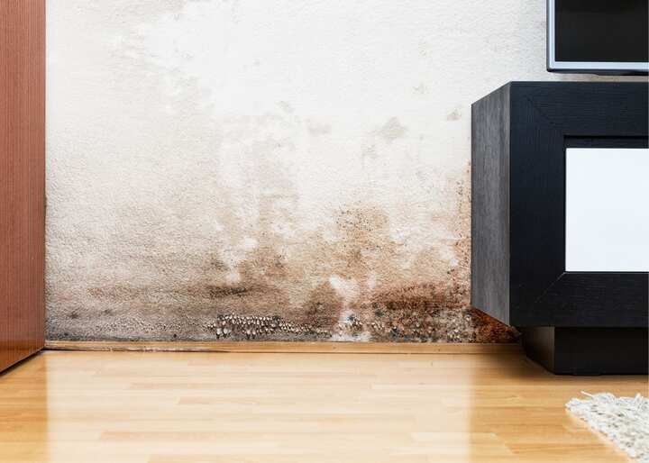 Water Damage Carson City