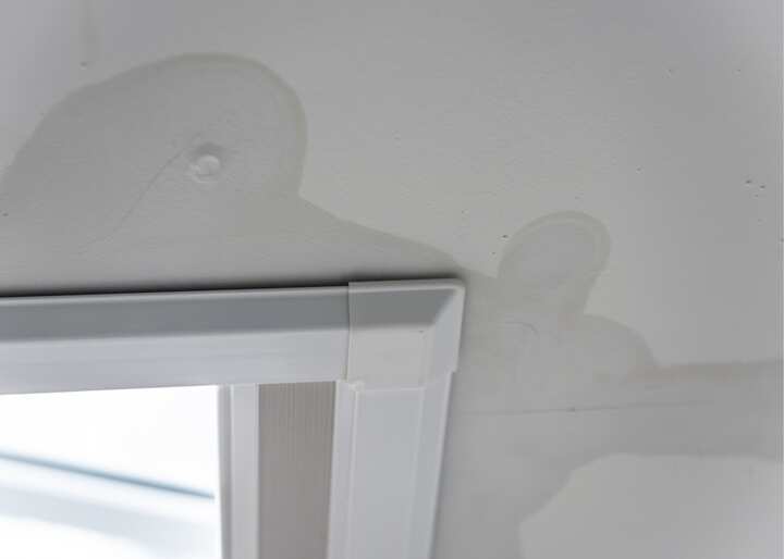 Water Damage Carson City