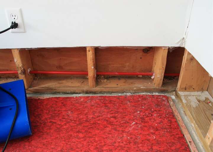 Water Damage Carson City