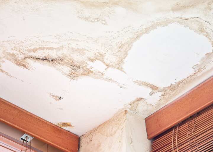 Water Damage Carson City