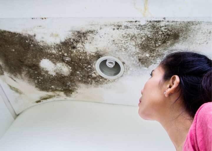 Water Damage Carson City