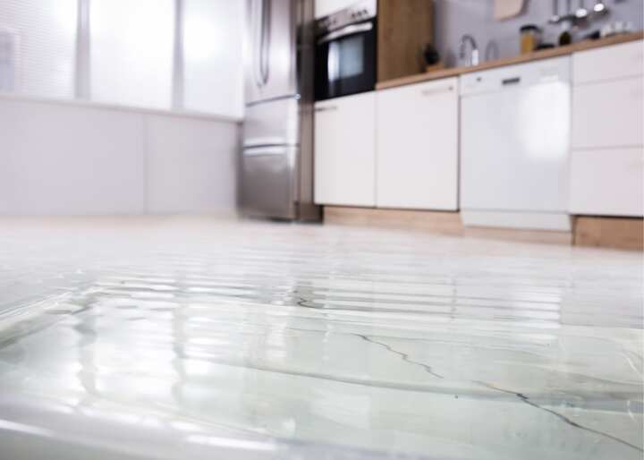 Water Damage Carson City