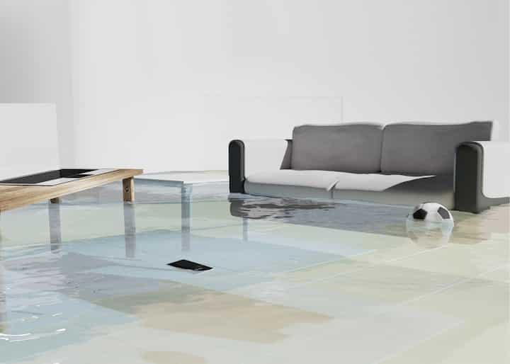 Water Damage Carson City