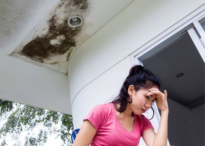 Water Damage Carson City
