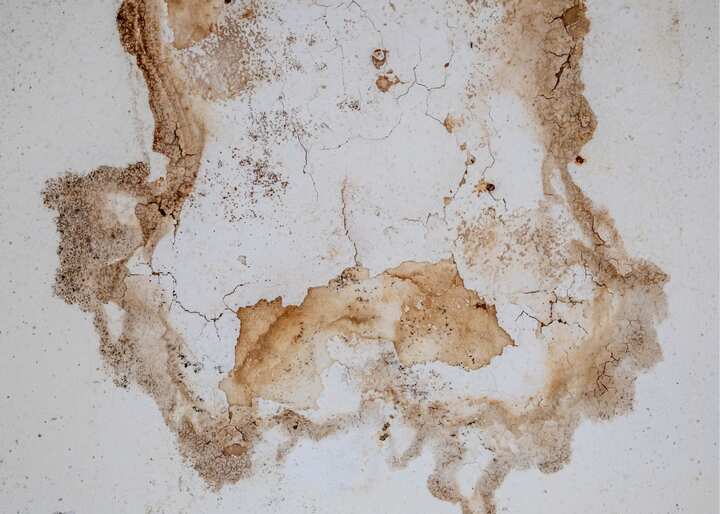 Water Damage Carson City